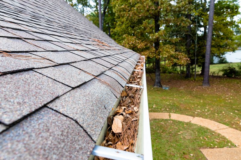 Commercial Gutter Unclogging in Roseville, CA