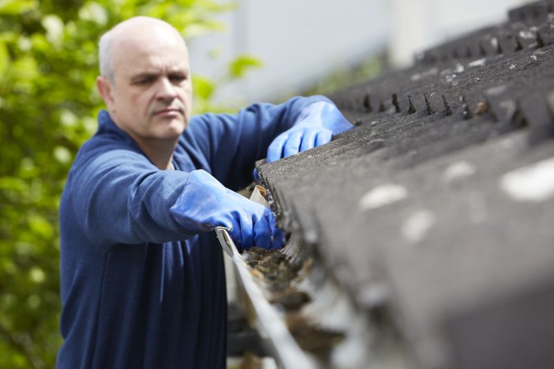 Local Gutters Cleaning pros at work