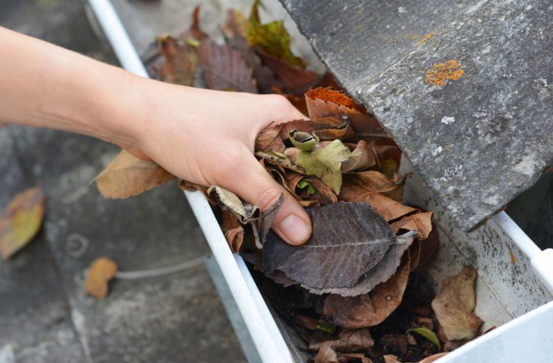 Gutter System Maintenance