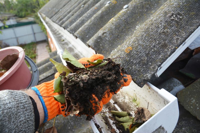 Gutters Cleaning