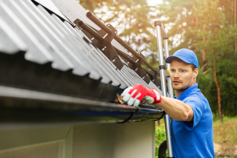 Gutters Cleaning