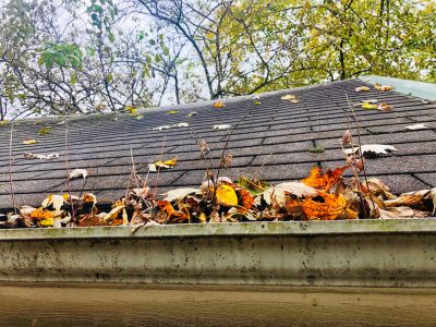 Avoid Roof Damage!